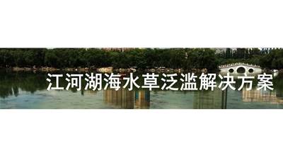 江河湖海水草泛濫解決方案